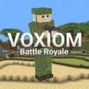 Voxiom.io game